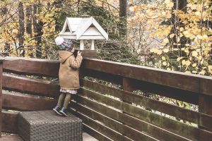 bialy karmnik dla ptakow