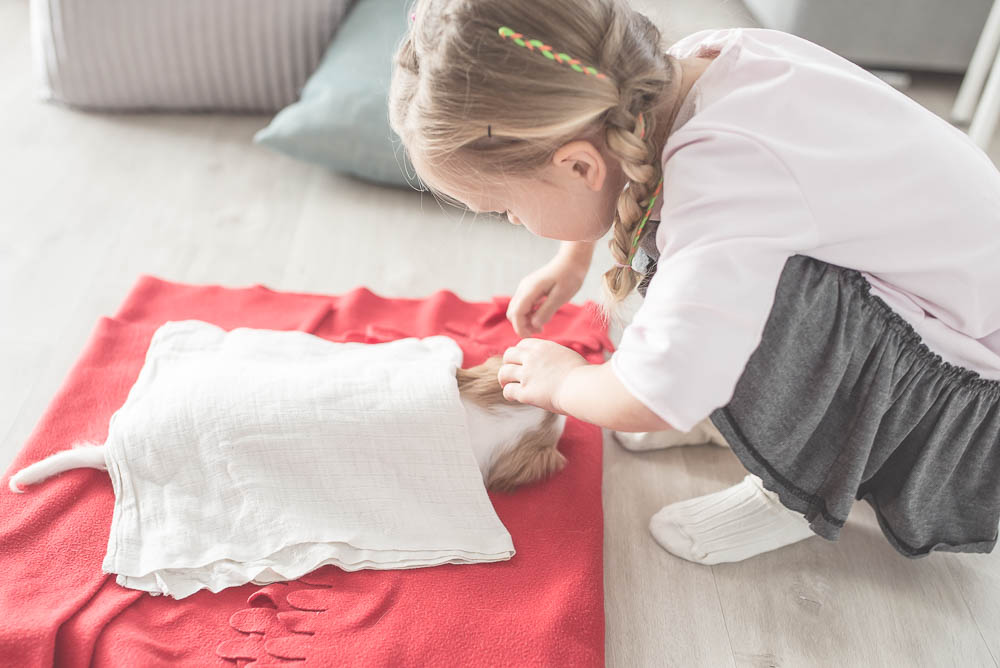 jaki pies dla dziecka