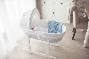 kosz mojzesza shnuggle