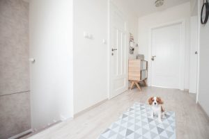 korytarz syl skandynawski