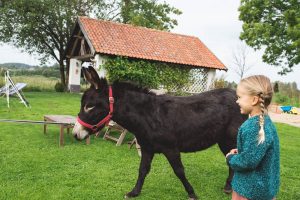 atrakcie dla dzieci mazury
