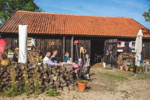 siedlisko blanki mazury