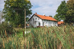 siedlisko blanki opinie