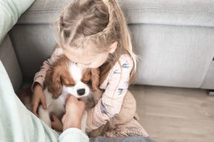 cavalier dla dziecka