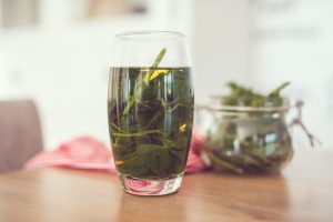 pokrzywa wlasciwosci