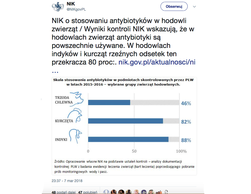 antybiotyki w drobiu