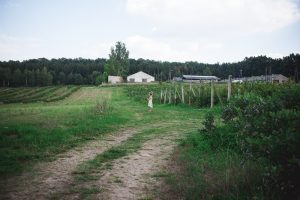 agroturystyka warszawa