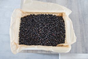 czarne porzeczki na zime