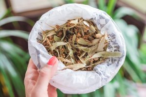 kwiat lipy przeziebienie