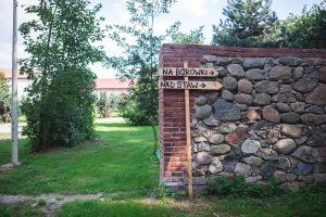 plantacja-borowek lodz