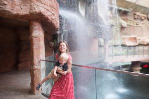 afrykarium kiedy nie ma ludzi