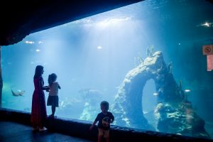 afrykarum kiedy nie ma tlumow